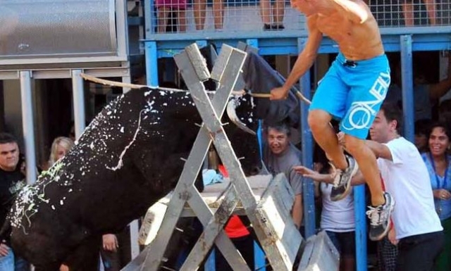 Bullfighting festival